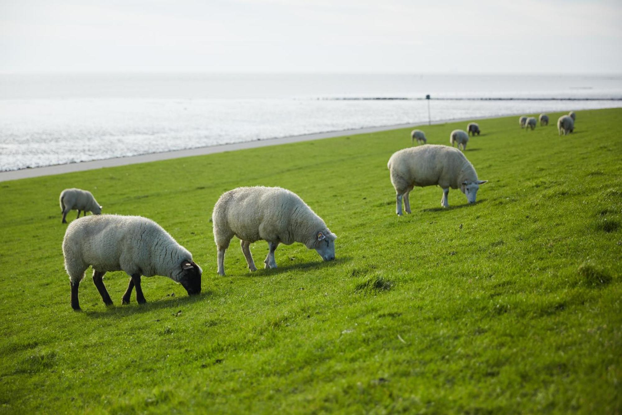 Strandhotel Salty Büsum Eksteriør billede